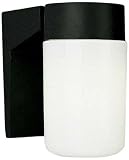 Volume Lighting V6895-5 1-Light Outdoor Wall Sconce, Black [並行輸入品]