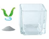 花市場直送便 ミニチュアガラス 水草B 大 & カラーサンド シルバー & 植え込み用グラス ニューブロックS