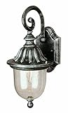 Trans Globe Lighting 4187 WH 20-Inch 1-Light Outdoor Wall Lantern, White [並行輸入品]