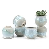 T4U 6CM 陶器鉢 流れ釉 上開口 灰底 植木鉢 多肉植物 サボテン鉢、花鉢 容器 ミ二植木鉢 6個入り