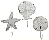 3木製壁タオルまたはキーフック、1貝のシェル、ヒトデと1 1 Sand Dollar