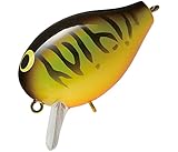 スミス COROT SR (コロット SR) #04.HT ホットタイガー