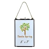 Nicola Spring Hangingガラスヴィンテージフォトフレームでロープ – 5 x 7写真