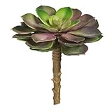 人工多肉植物パープルピンクWグリーンEcheveriaロゼット5インチ