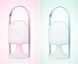 LUCKY CLOVER-AポータブルポータブルDimmable LEDライトテントキャンプランプ、充電タッチコントロールライト緊急照明、屋外室内のクリスマスデコレーション、カップル