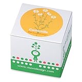 Euvo Design Potted Plant カモミール PP10197