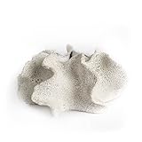 Mercana Art Decor 31017 Vases White [並行輸入品]