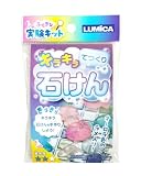 【自由研究やおうち実験に！】てづくりキラキラ石けんキット 手作り石鹸 自由研究 工作キット 夏休み 宿題 ふしぎな実験キット