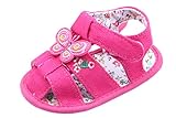 (ラボーグ) La Vogue 子供 キッズサンダル ベビー 赤ちゃん靴 女の子 スリッパ 歩行サポート ソフトソール ベルクロ式 フォーマルシューズ 快適 蝶々飾り (11cm, ローズ)