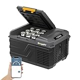 BougeRV ポータブル冷蔵庫 車載冷蔵庫 9L -20℃～20℃ コンプレッサー式 急速冷凍 AC100V