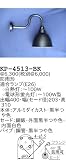 昭和レトロ照明 防雨形看板灯C KP-4513-BK