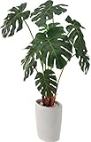 ポピー 観葉植物の造花 ロングモンステラオーバルポット