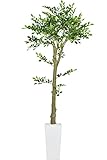 DORIS 観葉植物 光触媒 【イボタノキ 150cm】 フェイクグリーン インテリア 陶器鉢 水やり不要
