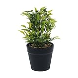 VORCOOL 人工観葉植物　造花　鉢　人工フェイク　ミニ　光触媒　置物　ホームオフィスインテリア　テーブル窓デコレーション　装飾　雑貨　鉢植え　枯れない Michelia Alba Leaf（緑）