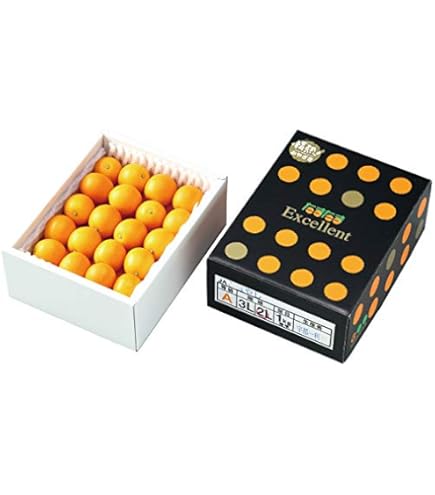 Amazon.co.jp: 『予約受付商品』宮崎県 まるかじりたまたま 完熟金柑