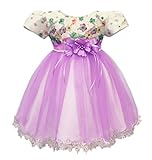 Candykidsベビードレス ベビーデイジー 結婚式 セレモニードレス フォーマルドレス 子供服 女の子 　赤ちゃん お宮参り ティアードスカート　ベビードレス フォーマルドレス (110cm, パ