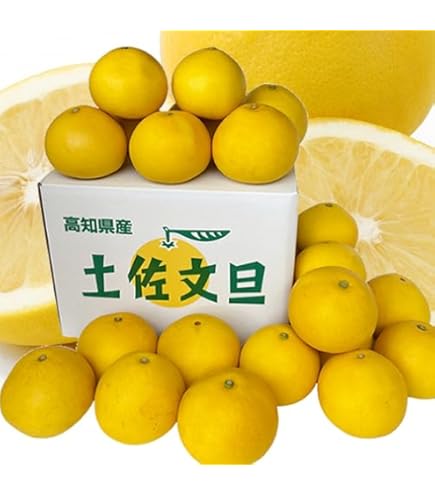 Amazon.co.jp: 【大玉サイズ】【ご家庭用】高知特産 土佐文旦 3L～4L