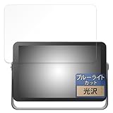 FILMEXT フィルム KODAK RWF-109 用 保護フィルム ブルーライトカット 超透明 日本製