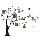 Wall Decals - Art Stickers Waterproof, Huge Size Family Photo Frame, Tree and Birds Pattern, for Hom