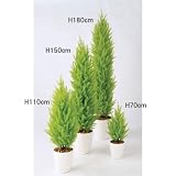 エフプランター 人工観葉植物-ゴールドクレストツリー-70-6号鉢-RP185