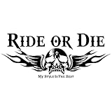 車 ステッカー かっこいい スカル リア 大きい バイナルグラフィック 車用 カスタム ワイルドスピード系 デカール 「全8色」41 (ブラック)