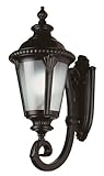 Trans Globe Lighting PL-5041 RT Rust Outdoor Wall Light [並行輸入品]