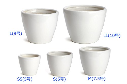 鉢 Kaneyoshi 陶器 5号 植木鉢 白 Ss 工具専科