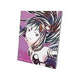 劇場版 魔法少女まどか☆マギカ[新編]叛逆の物語 悪魔ほむら Ani Art キャンバスボード