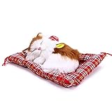 サクララ（Sakulala）眠る子猫 かわいい 座布団 ぬいぐるみ 置物 ニャ～と鳴き 超 リアル 赤ちゃん おやすみ おもちゃ にゃんこ