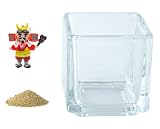 花市場直送便 ミニチュアガラス 武田信玄 & カラーサンド ゴールド & 植え込み用グラス ニューブロックS