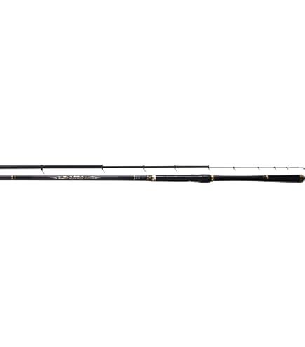 Amazon | 宇崎日新 ゼロサム X4 継承 1号 5305 | Uzaki Nissin | 磯竿