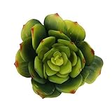 Lovoski 2個入り　人工　ジューシー　植物　人工観葉植物　枯れない　ホーム　パーティー　装飾　グリーン