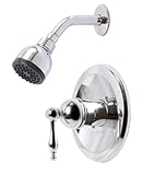 Premier蛇口119276プレミアウェリントンsingle-handleシャワー蛇口、クロム