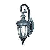Alico Lighting 1702ST Acclaim Lighting Stone Finished Outdoor Sconce with Clear Seeded Glass Shades 