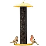No-No Feeder NONOYSSF00346 Straight Sided Finch Feeder - Yellow