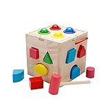 積み木　型はめ　ボールをたたく　立体パズル　プロック　木の箱　知育　子供　女の子　男の子　色認識　図形認識　手と眼の協調性　入卒園祝い　お誕生日　かわいい
