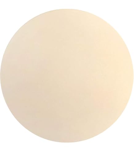 Amazon.co.jp: DeLonghi ピザストーン（角型） PS-CN : ホーム＆キッチン
