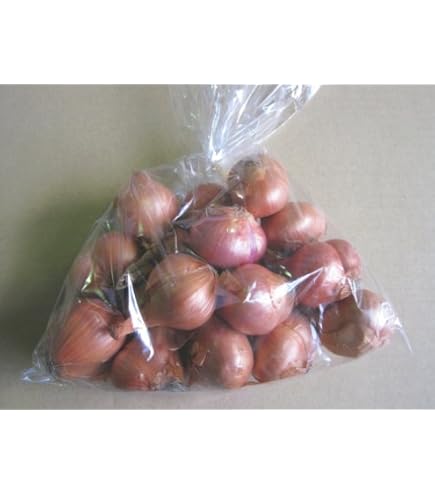 Amazon.co.jp: フランスの野菜通年 エシャロットフランス産約1Kg