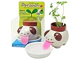 Peropon ペロポン イヌ (クローバー) GD645-01 [並行輸入品]