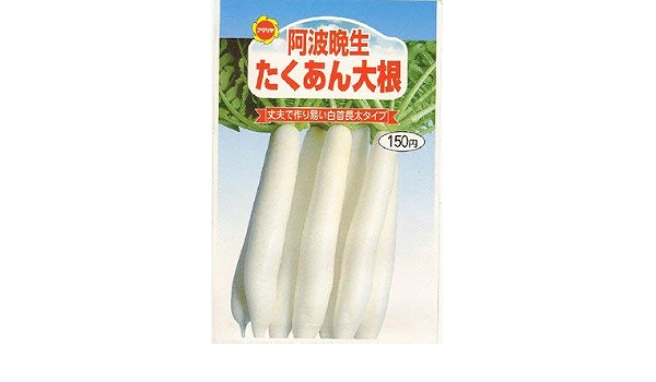 Amazon 阿波晩生 たくあん大根 (566) 野菜