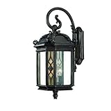 Alico Lighting 312MM Acclaim Lighting Marbleized Mahogany Finished Outdoor Sconce with Clear Beveled