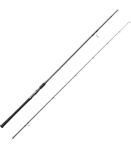 Amazon | 天龍(Tenryu) パワーマスター PM972S-MH 9.7フィート