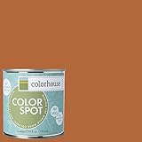 Inspired Eggshell Interior Colorspot Paint Sample, Wood .02, 8-oz [並行輸入品]