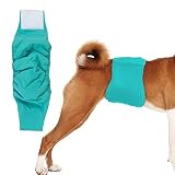 KUVEELA PET 犬用マナーベルト 雄犬用おむつ 犬用オムツカバー 男の子 お散歩 お外出 室内 おでかけ 介護 発情期 通気性 吸水性良い 再利用可能（グリーン XL）