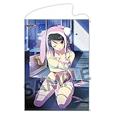 閃乱カグラ NewWave Gバースト 描き下ろしB2タペストリー 美苺