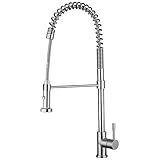 Geyser GF50-S Geyser Stainless Steel Commercial-Style Coiled Spring Kitchen Pull-Down Faucet [並行輸入品]