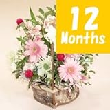 【フラワーファーム】　季節のアレンジメント-12ヶ月定期便-　【花　ギフト・宅配・誕生日・プレゼント・翌日】