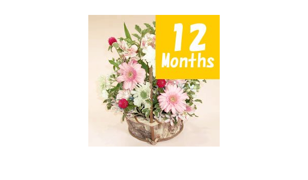 Amazon フラワーファーム 季節のアレンジメント 12ヶ月定期便 花 ギフト 宅配 誕生日 プレゼント 翌日 フラワーアレンジメント オンライン通販