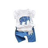 Tovadoo 子供服 ベビー服 男の子 女の子 トップス+ズボン 春夏 半袖 象柄 北欧風 多色 可愛い プレゼント 通学 旅行 海遊び 12ヶ月-3歳