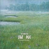 ���g�E1/f�̂�炬 ���̕��i�� ����